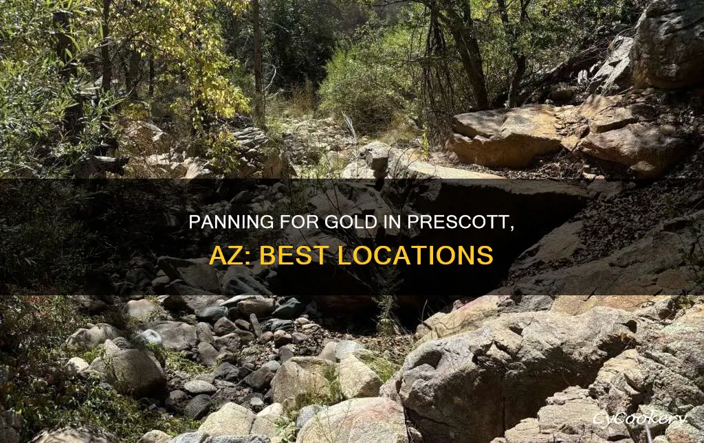 where can you panning for gold in prescott az