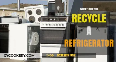 Eco-Friendly Disposal: Where to Recycle Your Old Refrigerator Easily