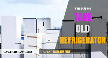 Eco-Friendly Disposal: Where to Recycle Old Refrigerators Responsibly