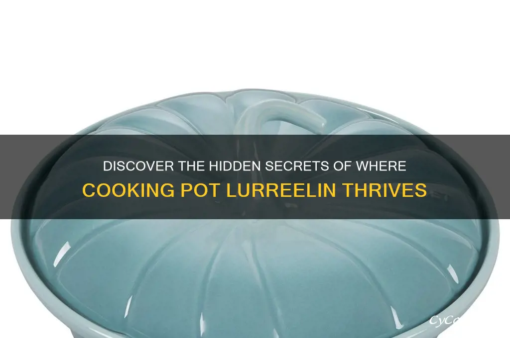 where cooking pot lurreelin