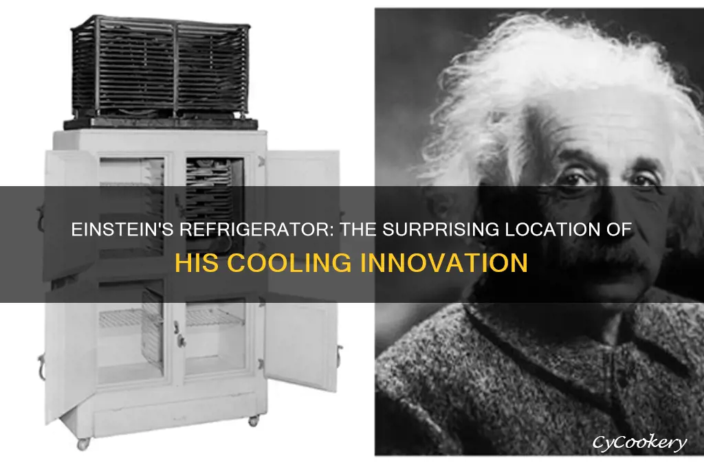 where did albert einstein invent the refrigerator