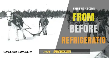 From Frozen Lakes to Ice Houses: The History of Ice Before Refrigeration
