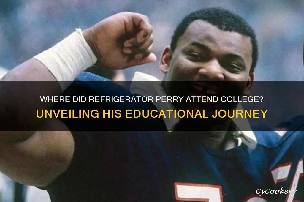 where did refrigerator perry go to college