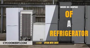 Eco-Friendly Refrigerator Disposal: Your Guide to Responsible Recycling Options