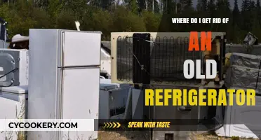 Eco-Friendly Ways to Dispose of Your Old Refrigerator Responsibly