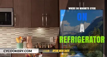 Where Do Magnets Stick on Refrigerators? A Handy Guide