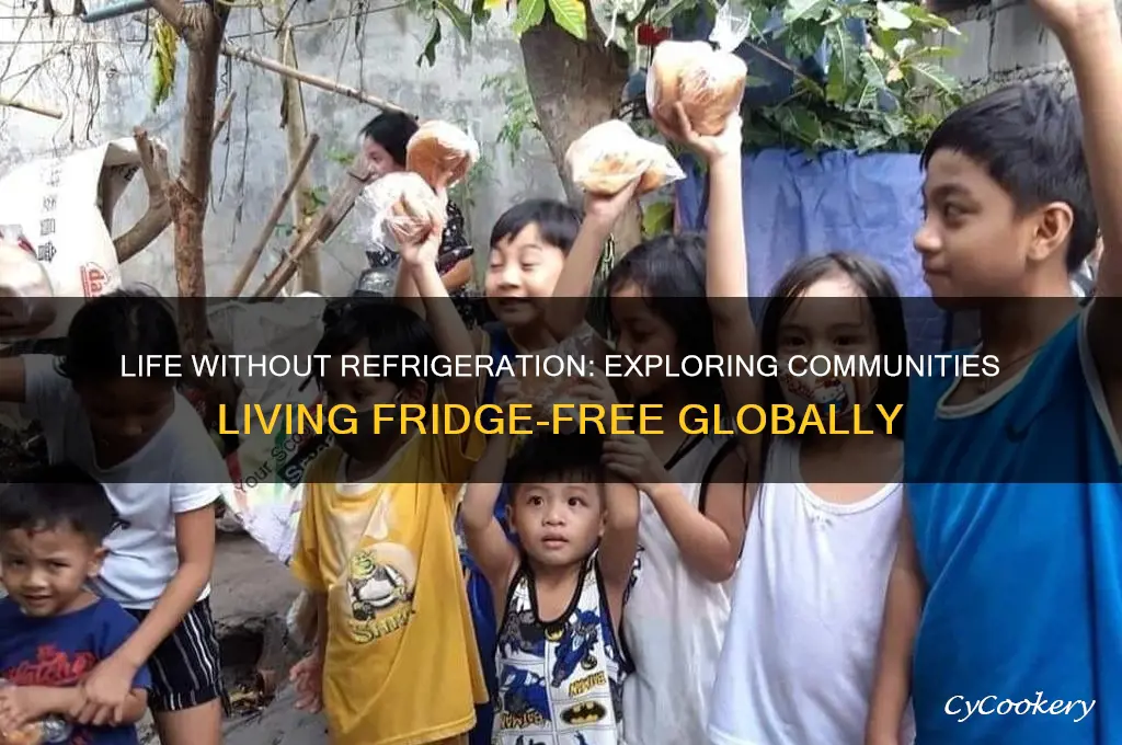 where do people not have a refrigerator