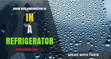 Understanding Refrigerator Condensation: Where Does the Moisture Go?