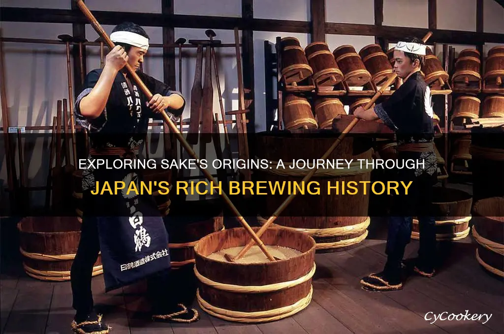 where does sake come from