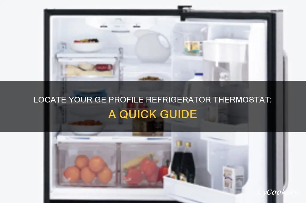 where i can find the termostate on ge profile refrigerator