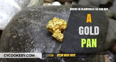 Gold Panning in Blairsville, GA: Where to Buy Supplies