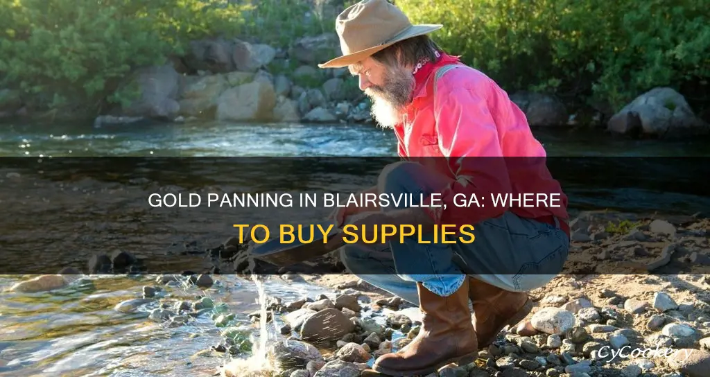 where in blairsville ga can buy a gold pan