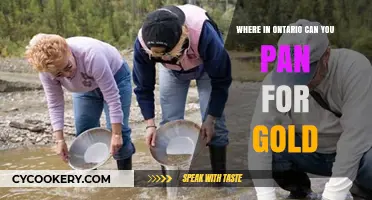 Panning for Gold: Best Spots in Ontario