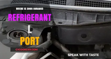 Finding the 2005 Durango's Refrigerant Low-Pressure Port Location