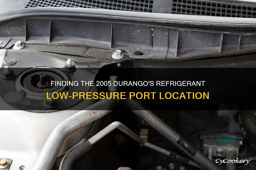 where is 2005 durango refrigerant l port