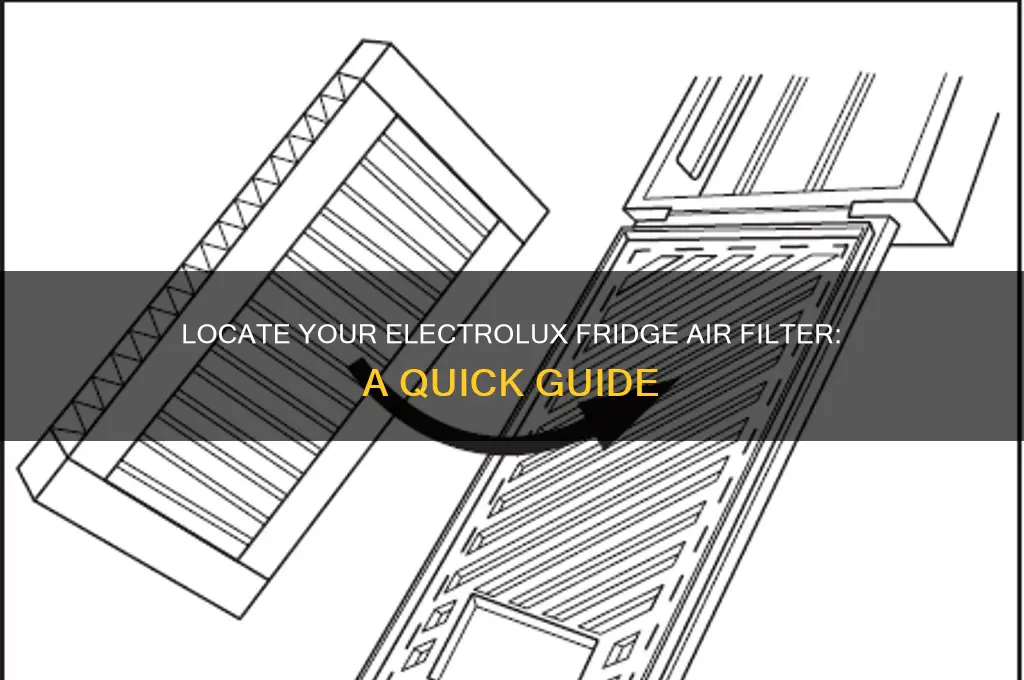 where is air filter in electrolux refrigerator