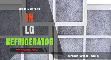 Locating the Air Filter in Your LG Refrigerator: A Quick Guide