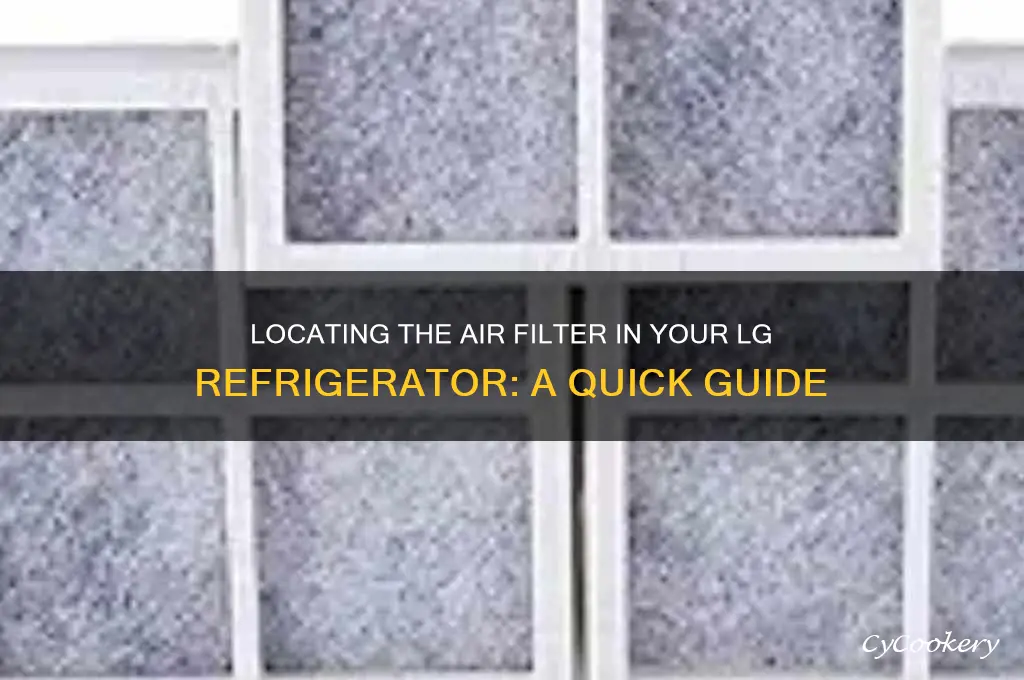 where is air filter in lg refrigerator