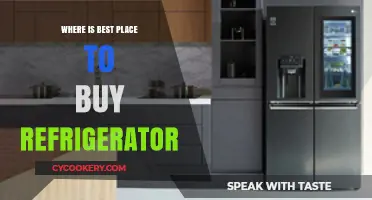 Top Spots to Purchase Your Perfect Refrigerator: A Buyer's Guide