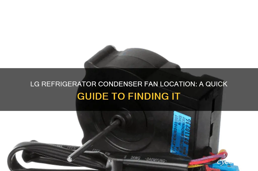 where is condenser fan in lg refrigerator