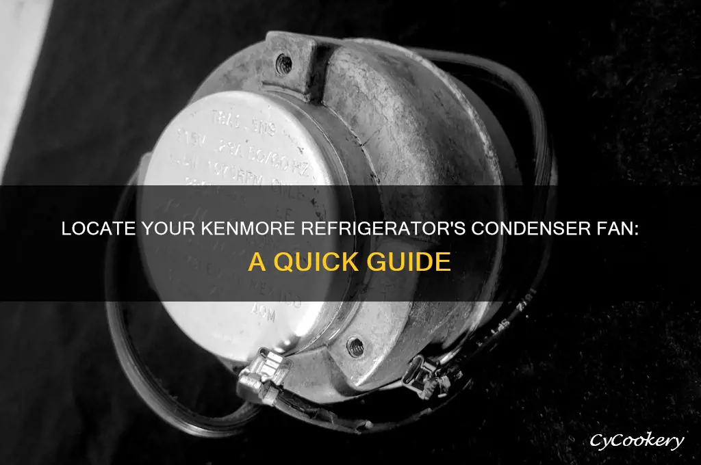 where is condenser fan on kenmore refrigerator