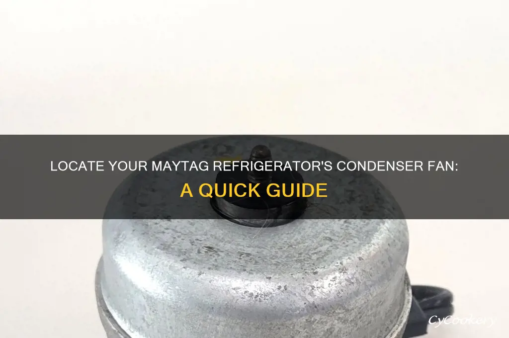 where is condenser fan on maytag refrigerator