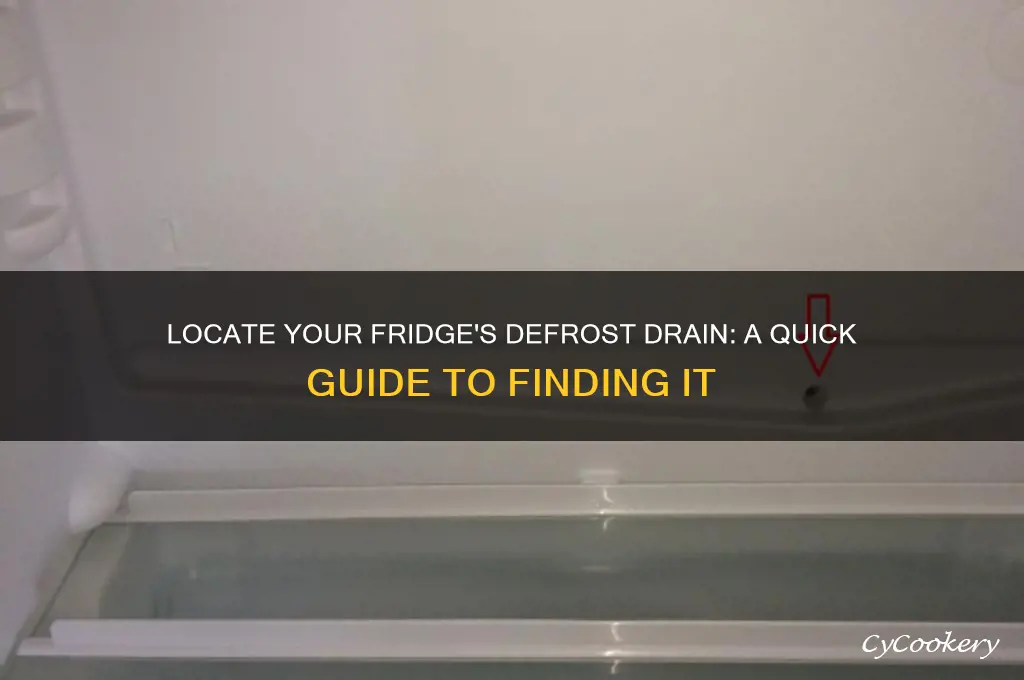 where is defrost drain on a refrigerator