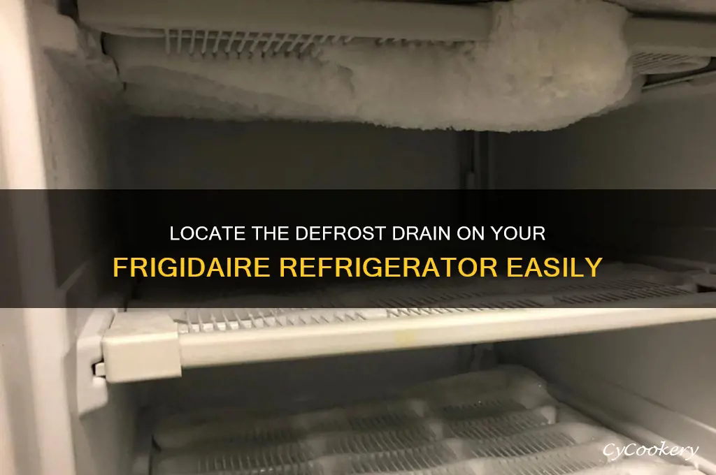 where is defrost drain on frigerdaire refrigerator