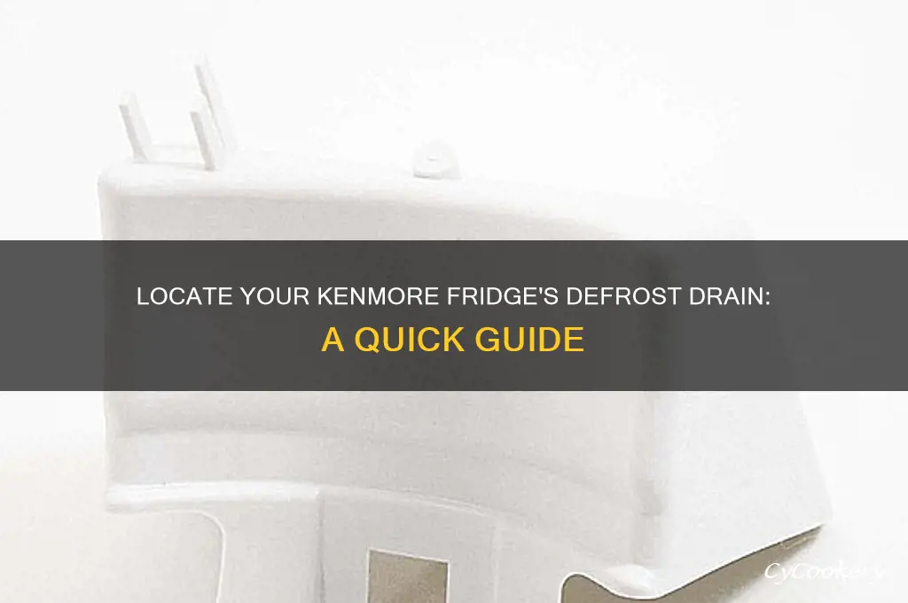where is defrost drain on kenmore refrigerator