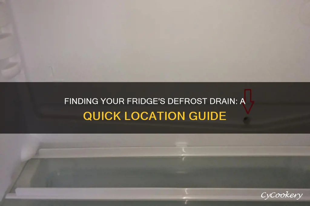 where is defrost drain on most refrigerators