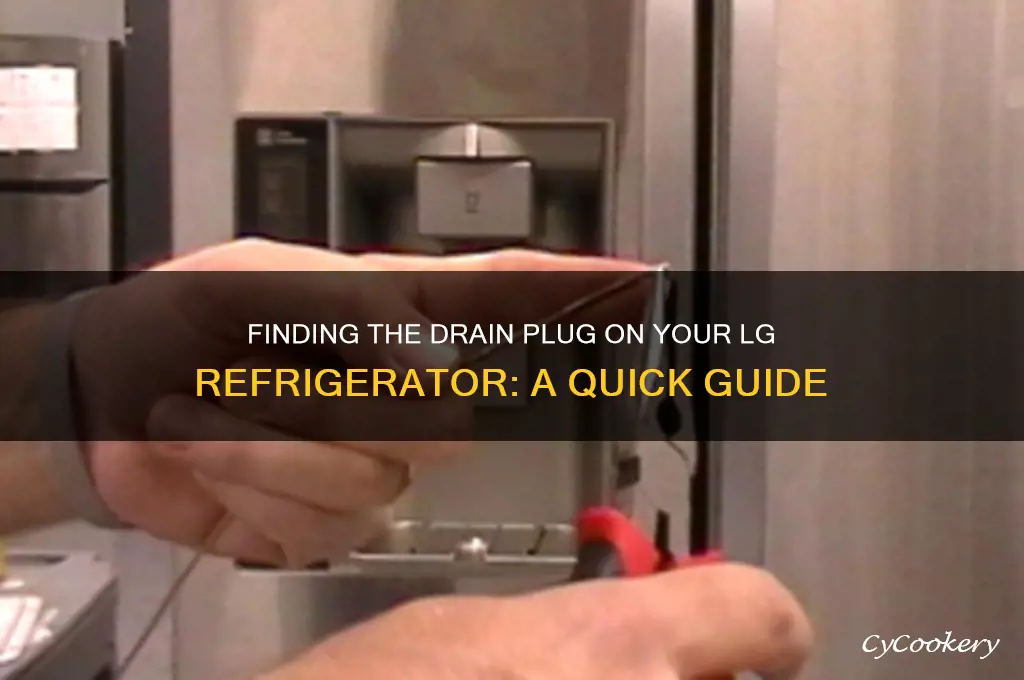 where is drain plug on lg refrigerator