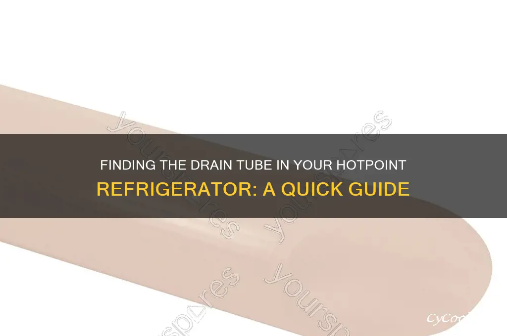 where is drain tube for hotpoint refrigerator