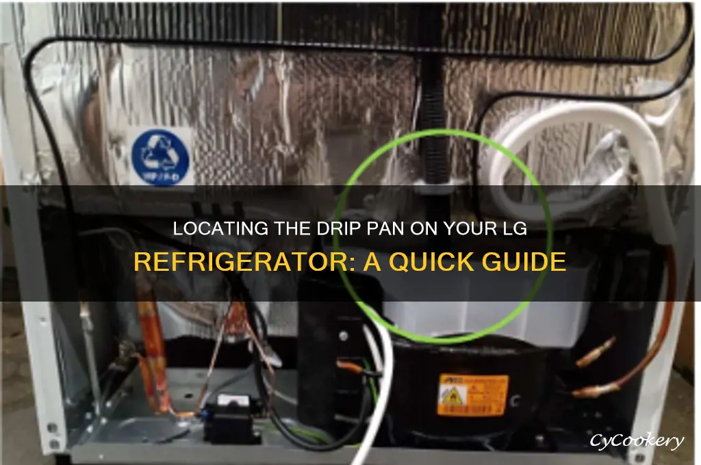 where is drip pan on lg refrigerator
