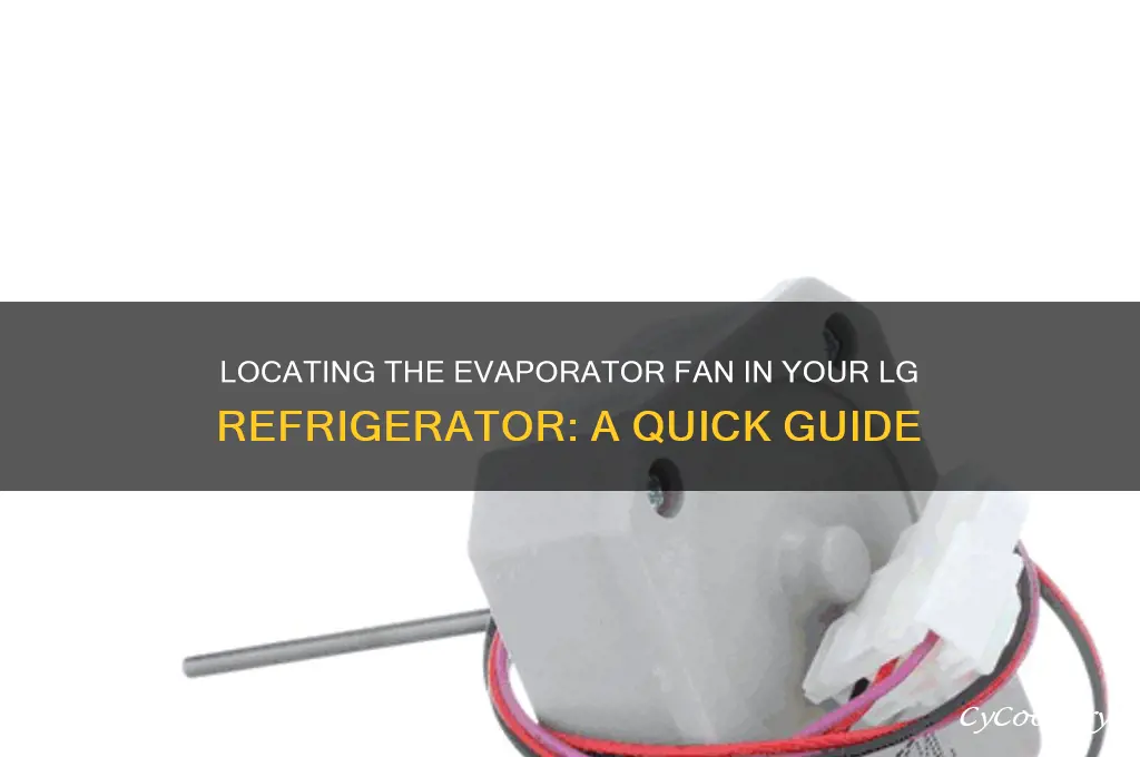 where is evaporator fan on lg refrigerator