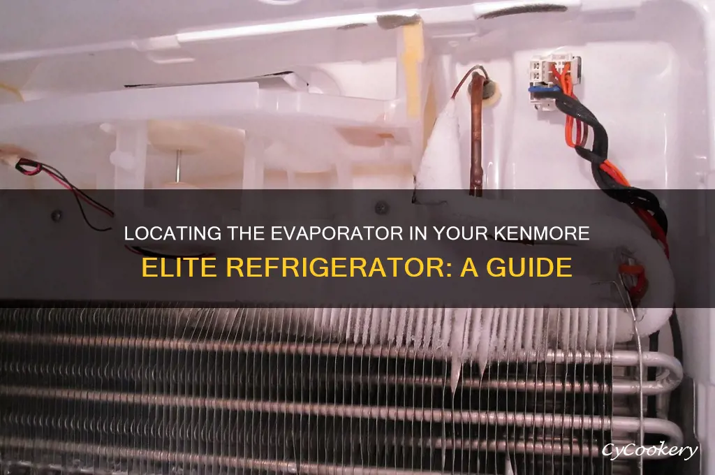 where is evaporator on kenmore elite refrigerator