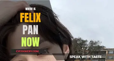 The Current Life of Felix Pan: Where Is He Now?