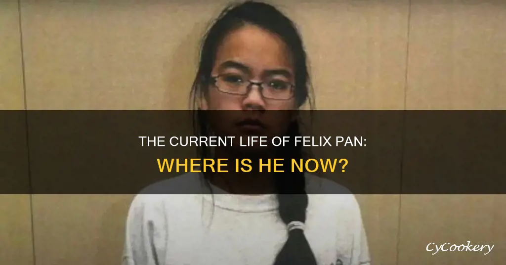 where is felix pan now