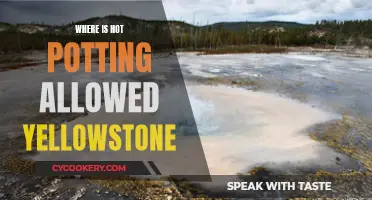 Yellowstone's Hot Potting: Where Visitors Can and Cannot Soak