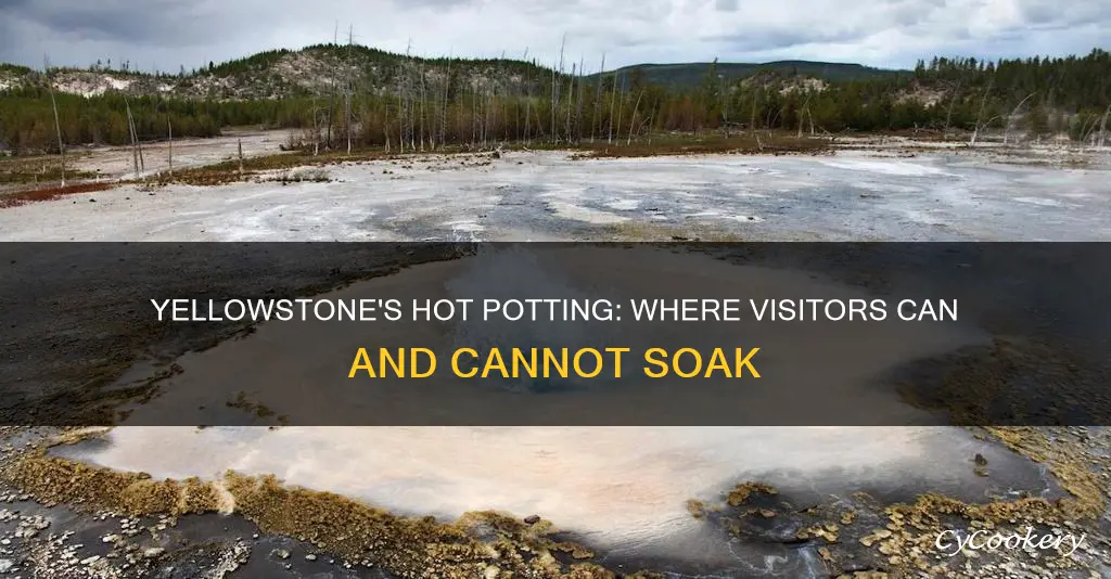 where is hot potting allowed yellowstone