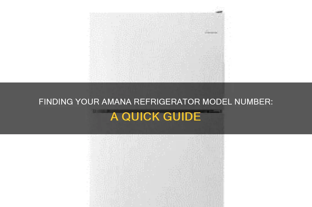 where is model number on amana refrigerator