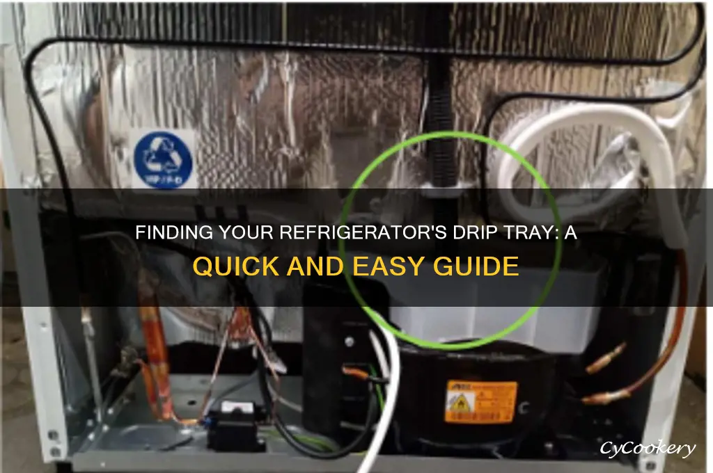 where is my refrigerator s drip tray