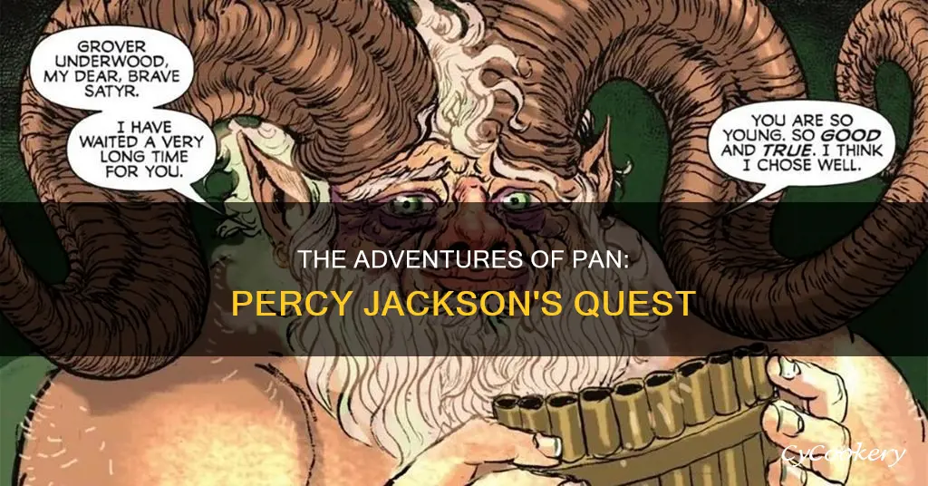 where is pan percy jackson