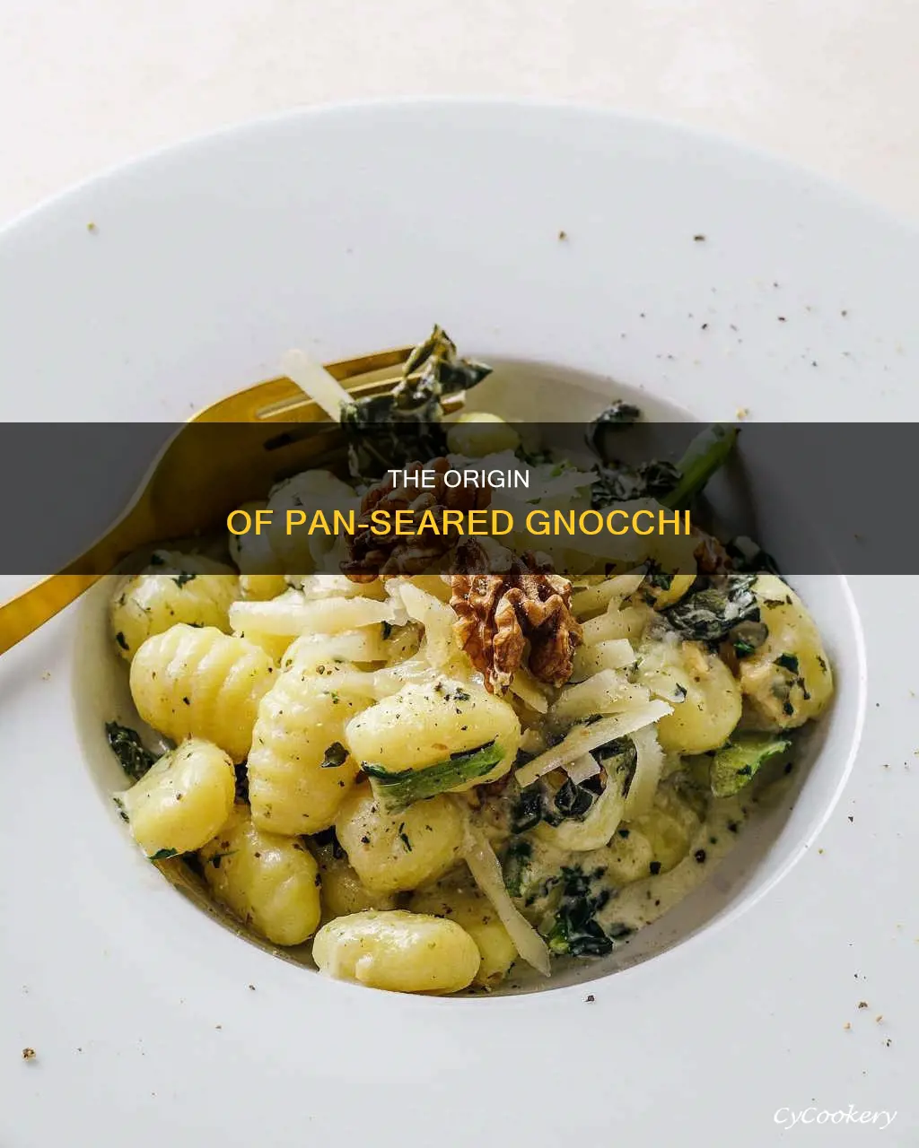 where is pan seared gnocchi from