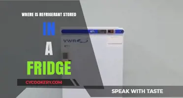 Where is Refrigerant Stored in a Fridge: A Comprehensive Guide