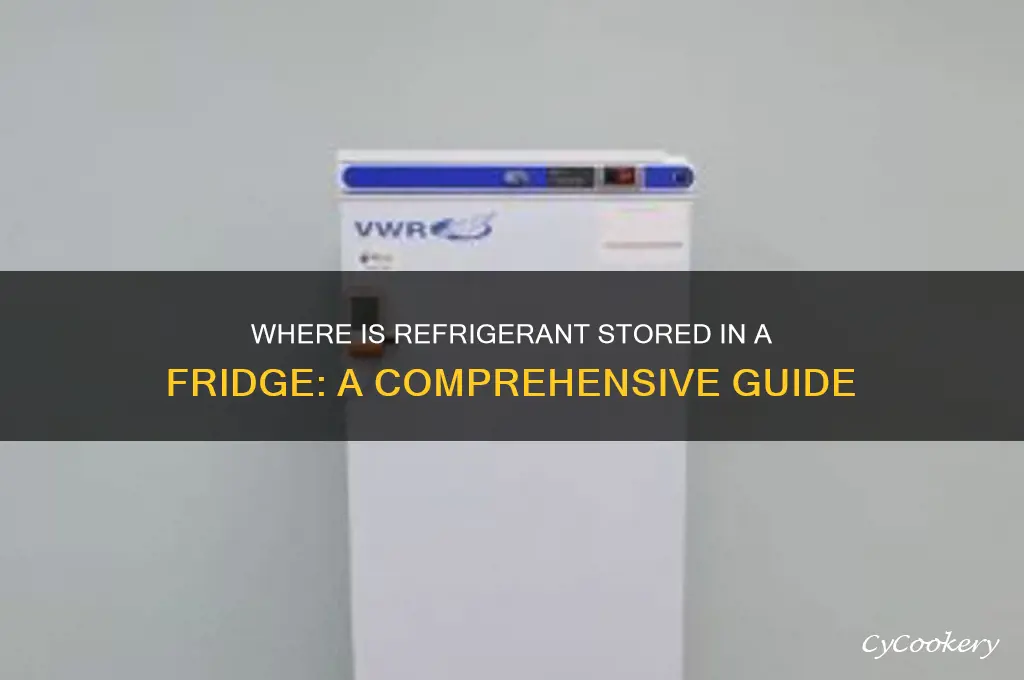 where is refrigerant stored in a fridge