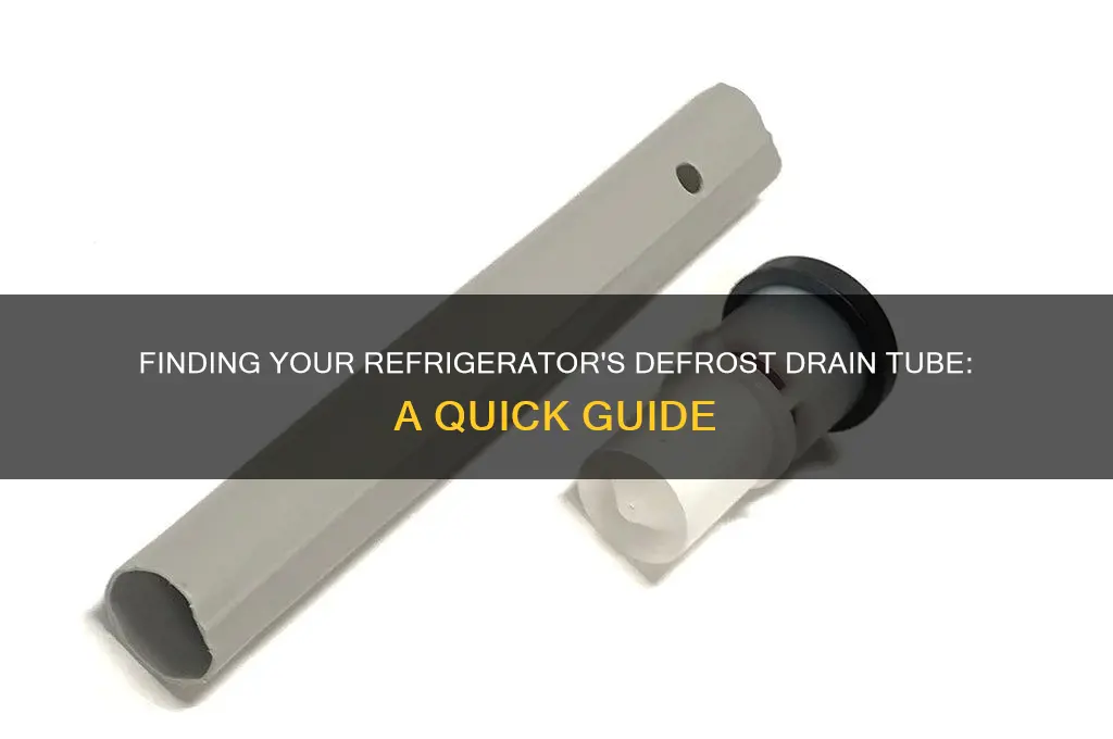 where is refrigerator defrost drain or tube