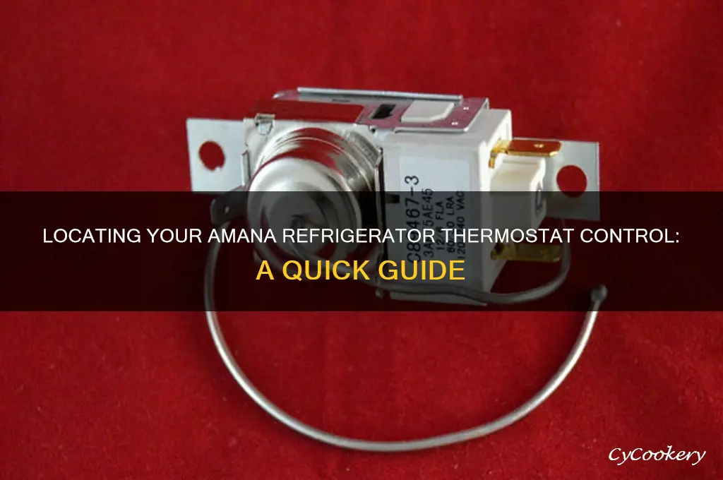 where is the amana refrigerator thermostat control