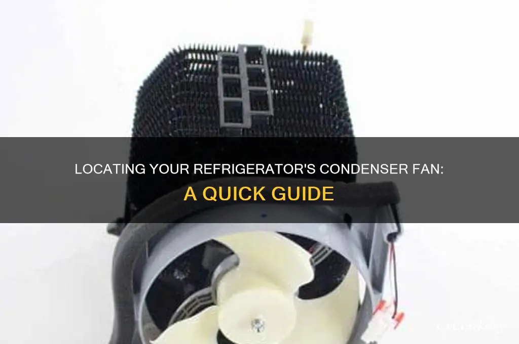 where is the condenser fan in refrigerator