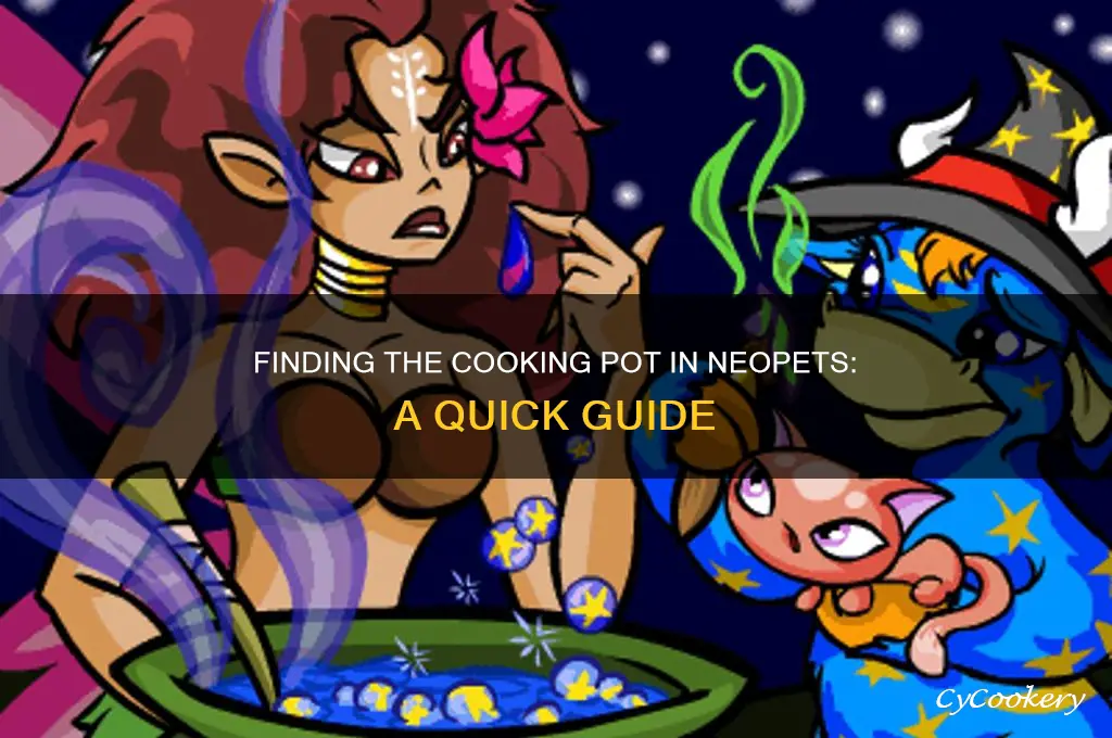 where is the cooking pot on neopets
