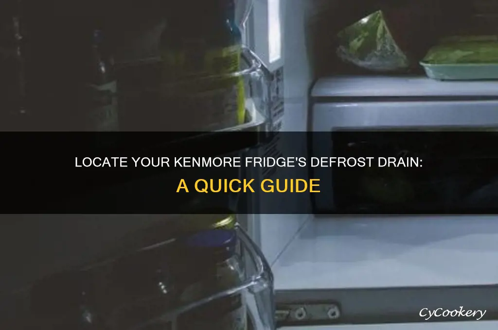 where is the defrost drain on a kenmore refrigerator